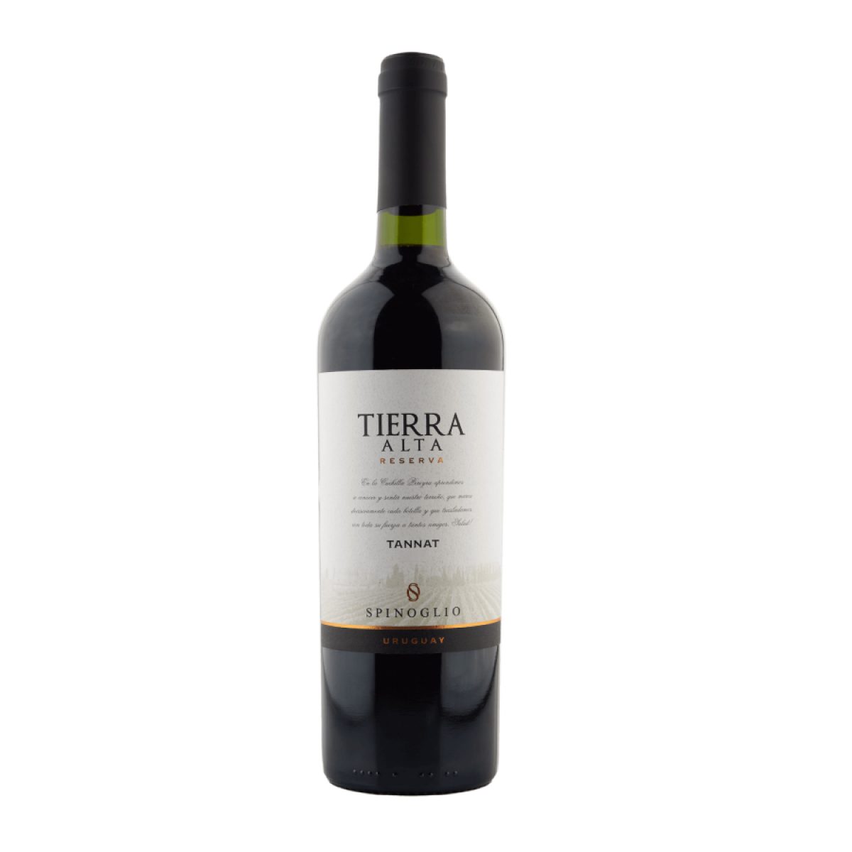 BACO_TIERRA_aLTA